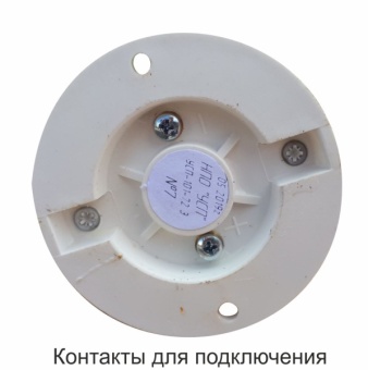 foto_usp_101_72v3
