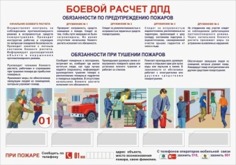 БР ДПД А2 с карманами цветное л