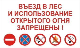 Лес3
